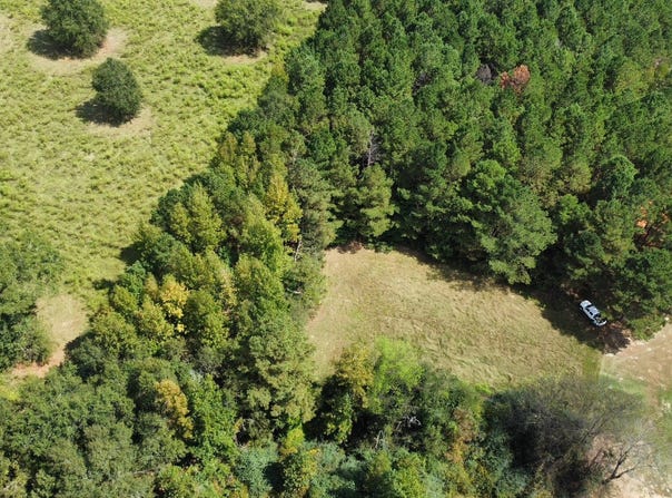 624 Caraway Road, Hickory, MS 39332