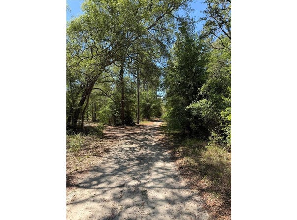 NE 107TH COURT, BRONSON, FL 32621