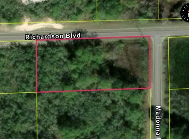 RICHARDSON BLVD, LOT 1, WEBSTER, FL 33597