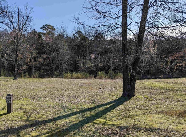 Brighton Pointe lot: 57, Heber Springs, AR 72543