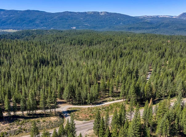 251 Meadow Lark Lane, Blairsden, CA 96103
