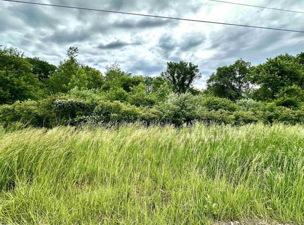 VL BRAIDWOOD PARCEL 4 Road, Riley, MI 48041