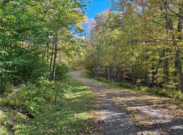 Heatherland Lane lot: 14, Halcottsville Twp, NY 12438