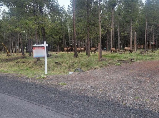 55540 Big River Drive, Bend, OR 97707