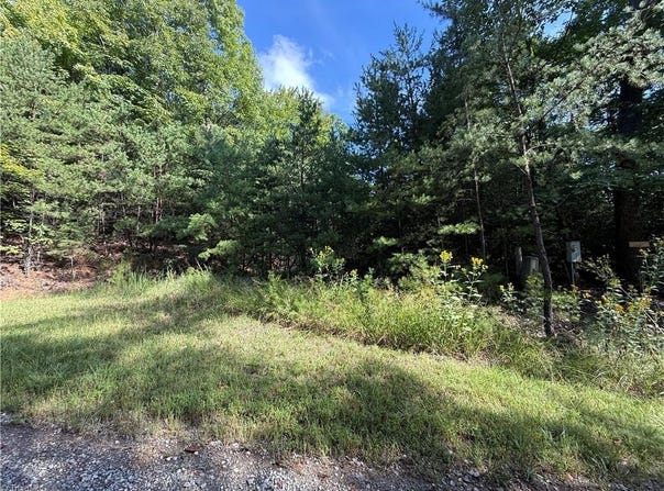 Wolf Pen Road lot: 24, Purlear, NC 28665