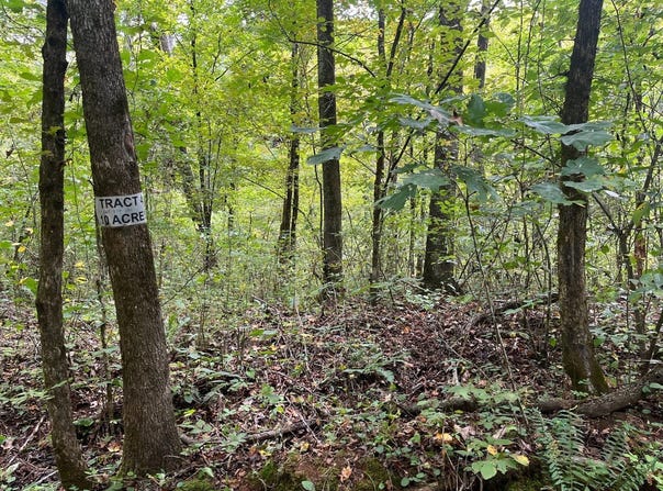 001 Forest Service Road 116, Combs, AR 72721