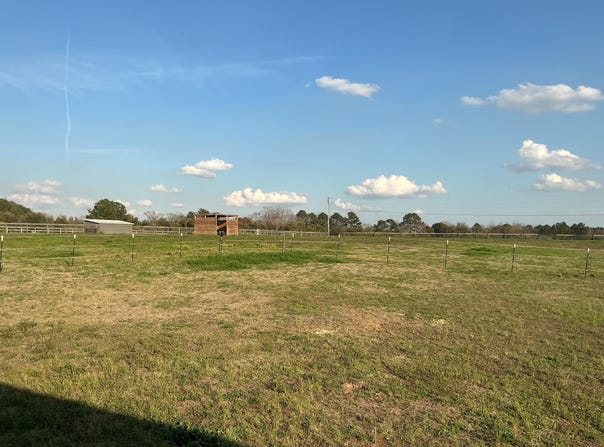 1929 New Holland Road, Wagener, SC 29164