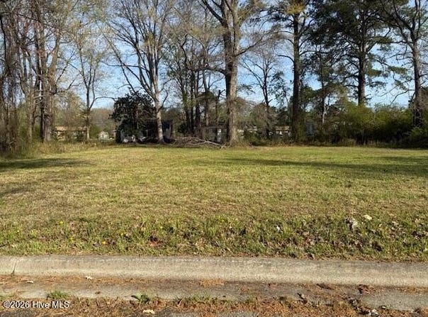 Hill Street, Ahoskie, NC 27910