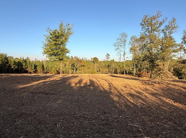 Parcel 4 Haglersville Rd, MANSFIELD, TN 38236