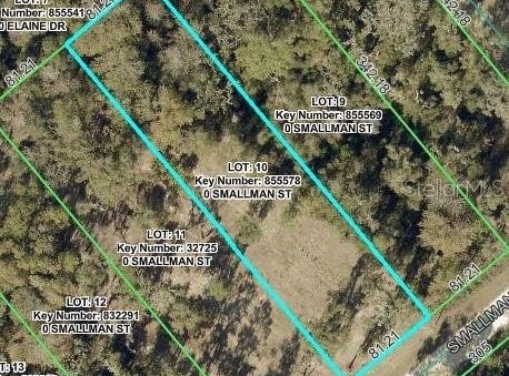 SMALLMAN Street, WEBSTER, FL 33597