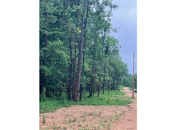 73 Madison CR 410, Fredericktown, MO 63645
