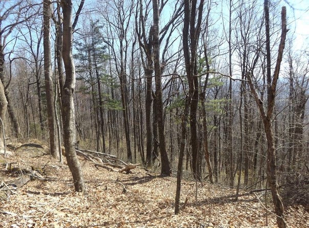 Mountaineer Way lot: 9, Fancy Gap, VA 24328