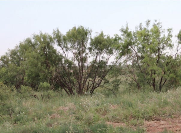 300 County Road 232, Rotan, TX 79546