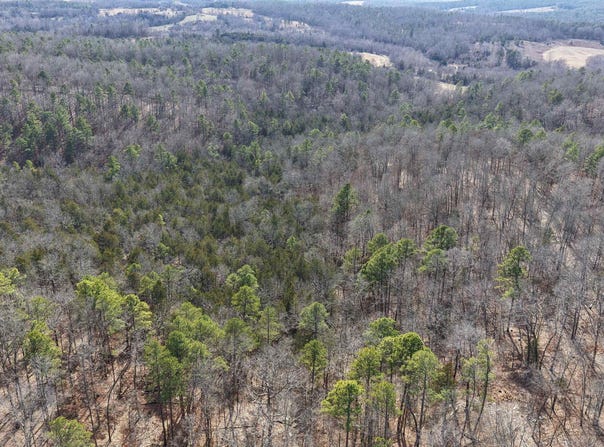 120A Campground Road, Wideman, AR 72585