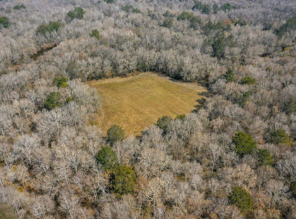 Highway 106, Brantley, AL 36009