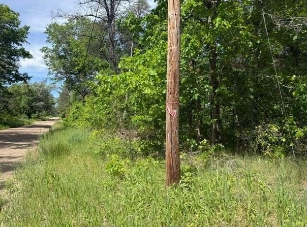 VL Princeton Drive, Baldwin, MI 49304