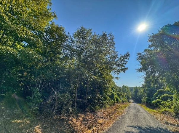 01 County Road 125, Hamilton, AL 35570