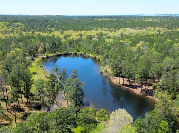 Black Squirrel Road E, Brookeland, TX 75931