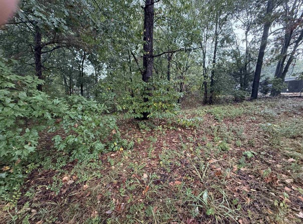 Mountain Home Rd, Paragould, AR 72450