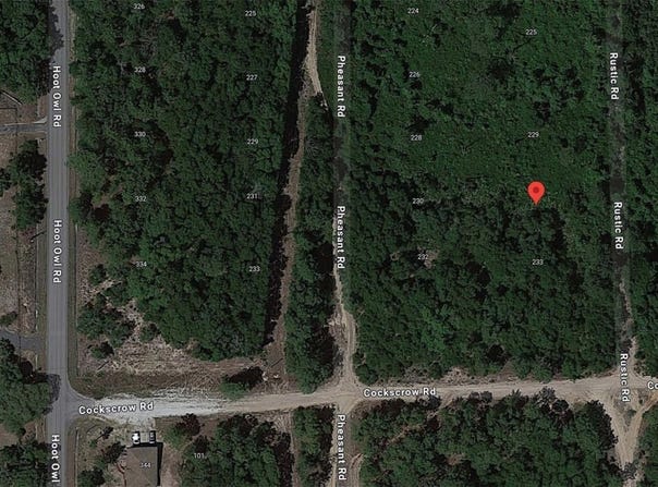 231 RUSTIC Road, SATSUMA, FL 32189