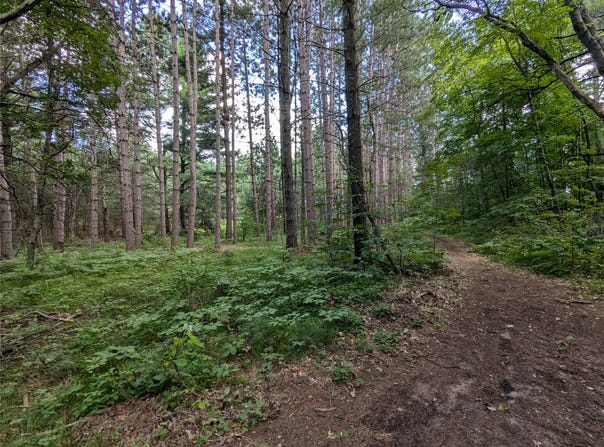 Fosmo Drive lot: 5, Webster, WI 54893
