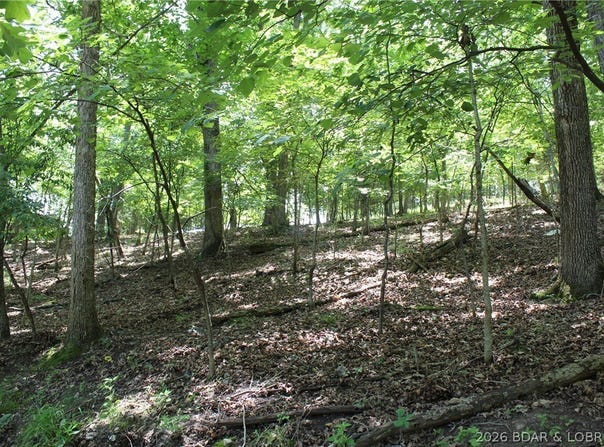 Karen Road, Gravois Mills, MO 65037