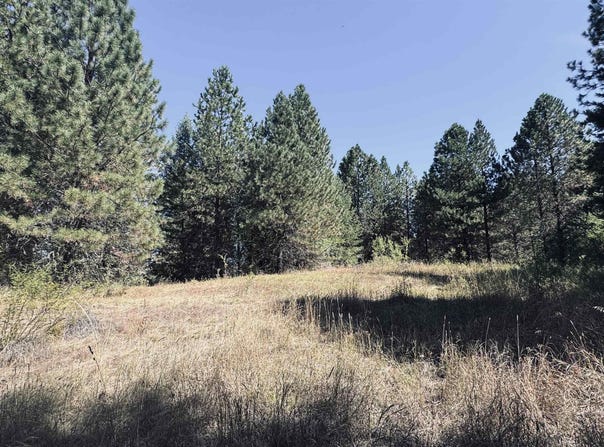 Dalton Acres Rd, Clearwater, ID 83552
