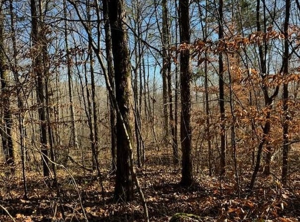 231.8 AC New Hope Rd, Celina, TN 38551