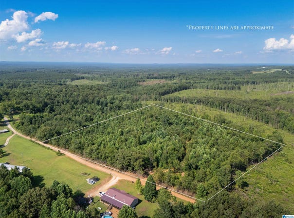 584 MONCUS ROAD lot: 5, CRAGFORD, AL 36255