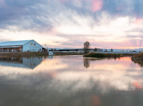 4738 County Rd 5, Erie, CO 80516