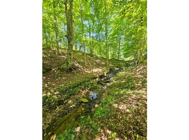 Ridgedale Road, Six Mile, SC 29682