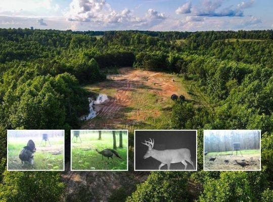 1 Hyde Road, Phil Campbell, AL 35581