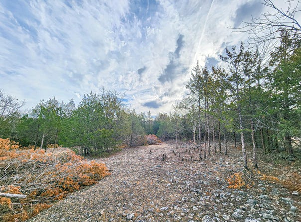 Tall Oaks, Pittsburg, MO 65724