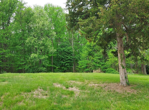 395 HAZELMOOR Drive, EARLEVILLE, MD 21919