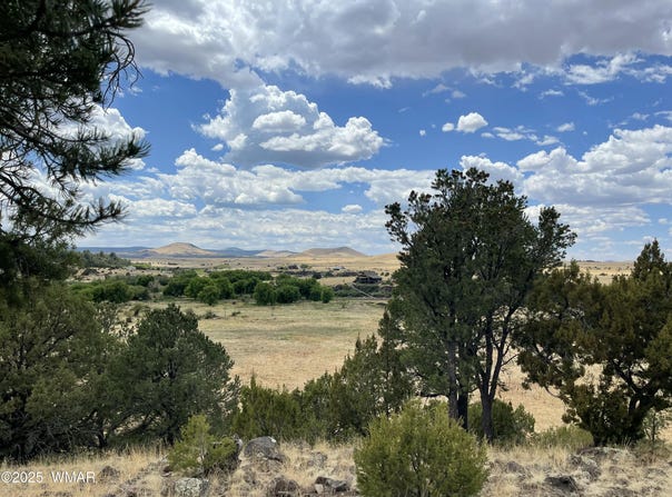 State Highway 261, Eagar, AZ 85925
