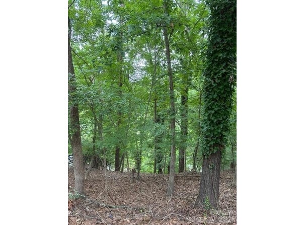 10045 Tepa Place, Tega Cay, SC 29708
