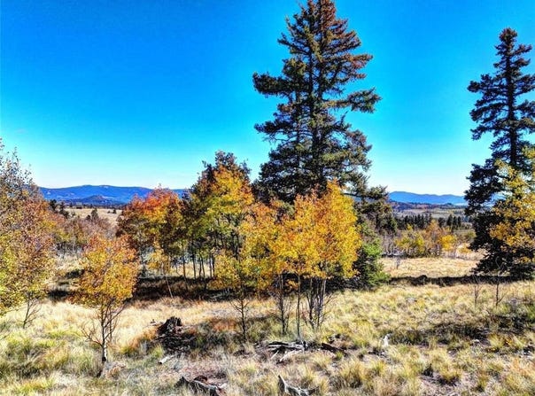 74 Antelope Circle lot: 73, COMO, CO 80456