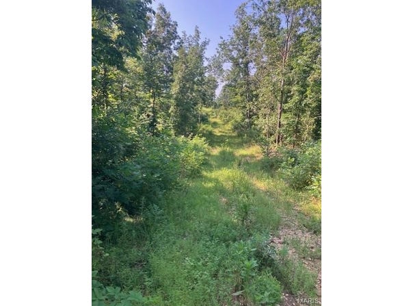 281 Madison CR 410, Fredericktown, MO 63645
