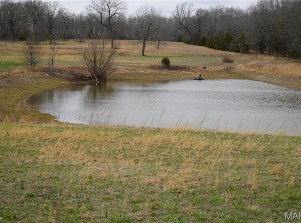 18143 Oasis Drive, Phillipsburg, MO 65722