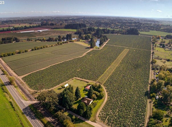 13750 SE LOCKS LOOP Rd, Dayton, OR 97114
