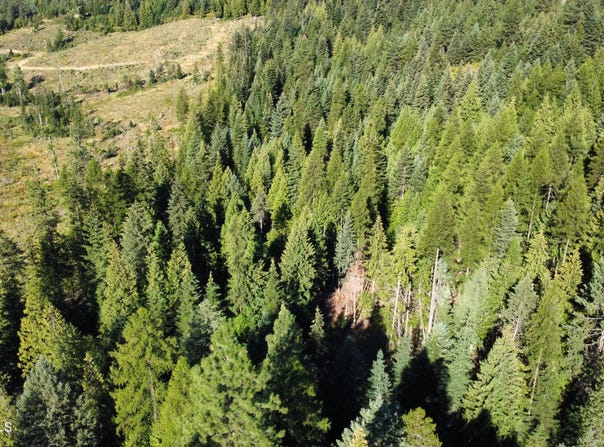 NKA Hells Gulch, St. Maries, ID 83861