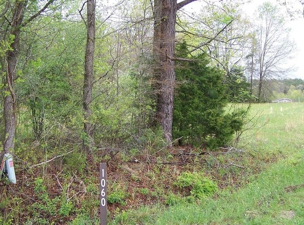 19 Acres Poplar Lawn Rd, Blackstone, VA 23824