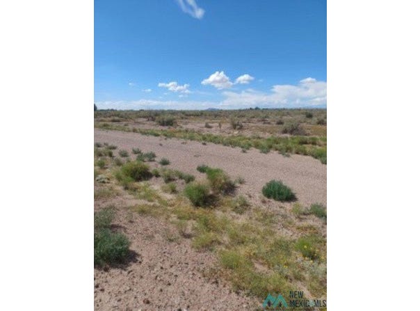 22 Tbd Maverick Road, Deming, NM 88030
