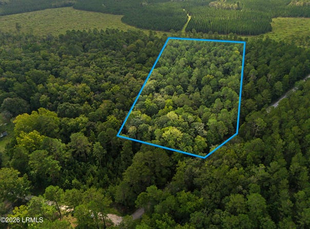Tree Farm Road, Walterboro, SC 29488