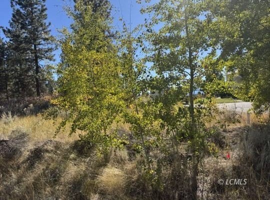 Irving Way, Chiloquin, OR 97624