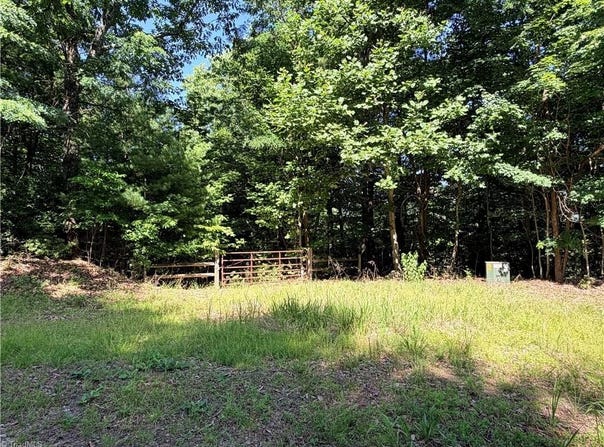 Blue Rock Road lot: 171 & 172B, Purlear, NC 28665