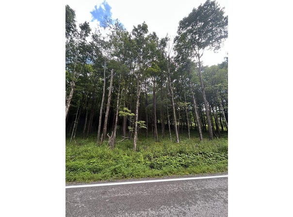 6181 Cass Road, Slatyfork, WV 26291