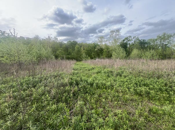Cedar Gap Central Lane, Mansfield, MO 65704