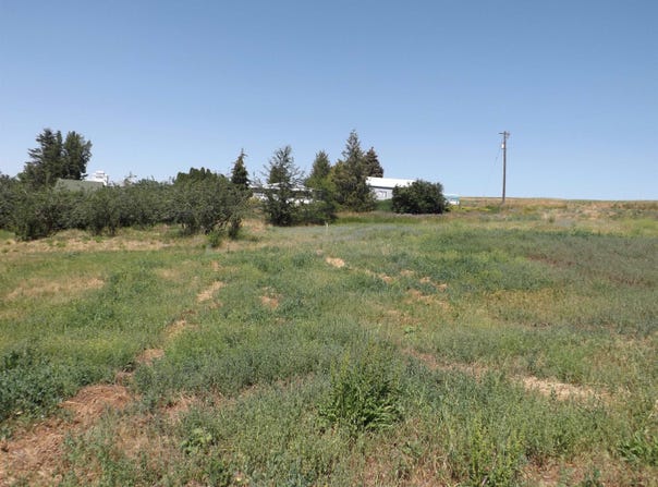 E A St, Rosalia, WA 99170