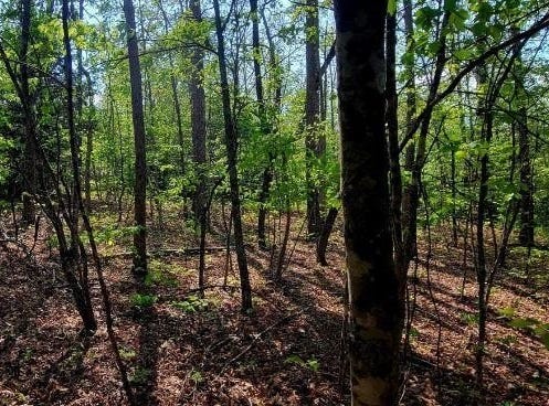Laurel Loop, Monterey, TN 38574